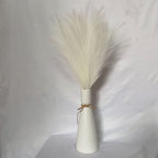 Pampas artificiales de 21" para decoración del hogar - Marfil 10pcs