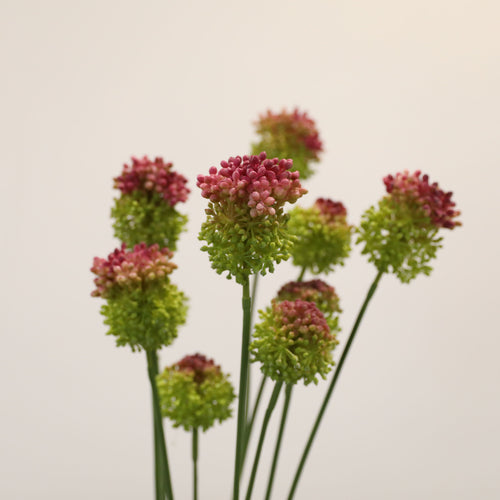 2 Varas de Allium Artificial de 70 cm, Flor Esférica Realista Tipo Diente de León, Ideal para Jarrón Alto, Decoración Minimalista y Bodas