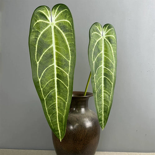 2 Ramos de Anthurium Clarinervium Artificial, 88 cm, Verde Claro y Verde, Decoración de Interiores, Bodas, Eventos, Escaparates