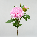 Ramo de peonía artificial, 67 cm, 2 flores de 12 cm, decoración de mesa y hogar, imita peonía real, para bodegones y fotografía