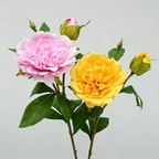 Ramo de peonía artificial, 67 cm, 2 flores de 12 cm, decoración de mesa y hogar, imita peonía real, para bodegones y fotografía