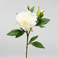 Ramo de peonía artificial, 67 cm, 2 flores de 12 cm, decoración de mesa y hogar, imita peonía real, para bodegones y fotografía