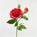 Ramo de peonía artificial, 67 cm, 2 flores de 12 cm, decoración de mesa y hogar, imita peonía real, para bodegones y fotografía