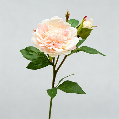 Ramo de peonía artificial, 67 cm, 2 flores de 12 cm, decoración de mesa y hogar, imita peonía real, para bodegones y fotografía