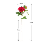 Ramo de peonía artificial, 67 cm, 2 flores de 12 cm, decoración de mesa y hogar, imita peonía real, para bodegones y fotografía