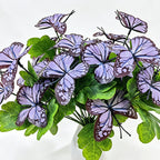 Flores artificiales de mariposa, 5 ramos de 29 cm, 5 cabezas de 8 cm cada una, para bodas y decoración de eventos