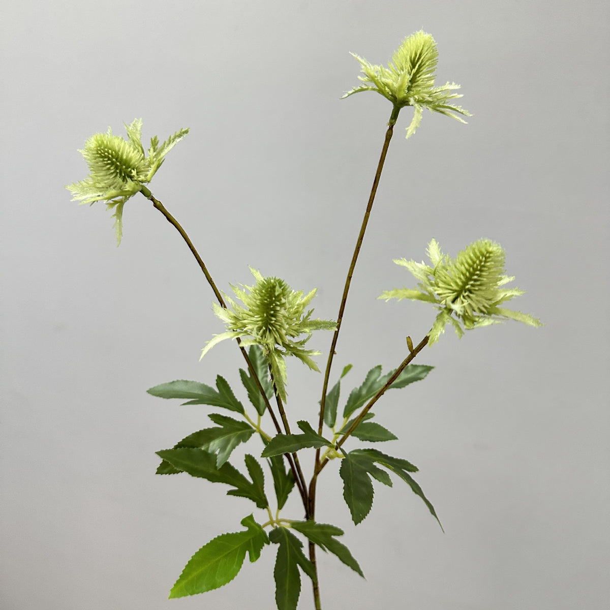 Planta artificial de hinojo silvestre moderno, 4 cabezas, 60 cm, decoración para bodas y hogar, material plástico, realista