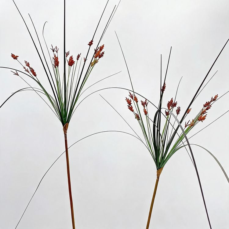 Planta artificial de hierba fuente, 135 cm, 2 unidades, estilo moderno, plástico PE/PVC, para oficina, hotel o decoración de interiores