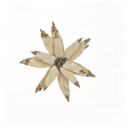Flor artificial de pascua, cabeza suelta de 24 cm, decoración navideña y hogar, material de poliéster
