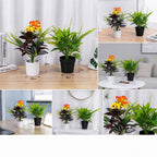 Composición de plantas artificiales - Ojo del diablo y Balsamina, 29 cm, decoración de escritorio u oficina