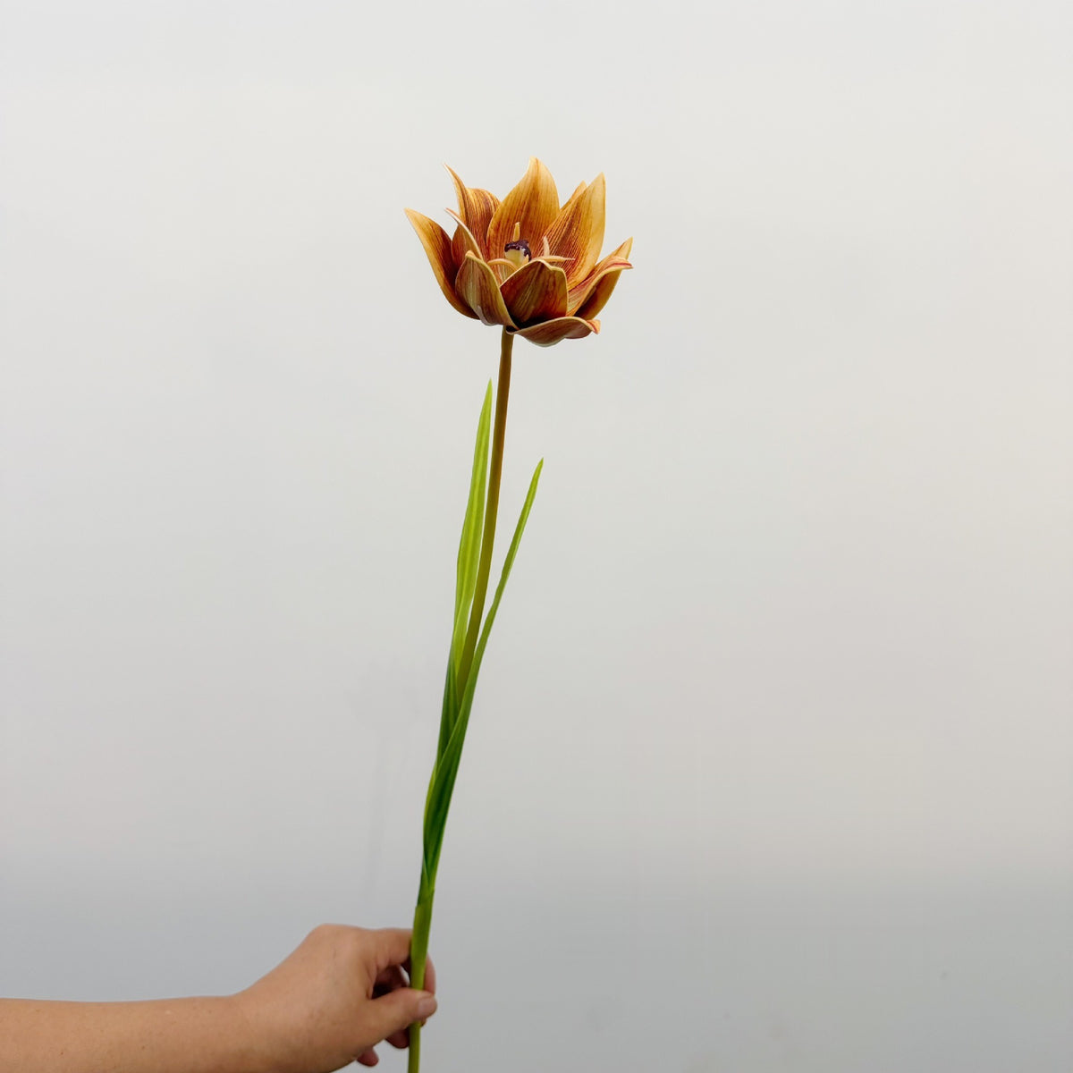 Tulipán artificial de 69 cm, decoración floral moderna para hogar, bodas y oficinas, estilo minimalista