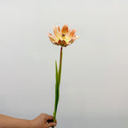 Tulipán artificial de 69 cm, decoración floral moderna para hogar, bodas y oficinas, estilo minimalista