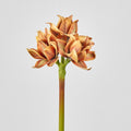 Flor Artificial Clivia, Decoración Elegante para Hogar y Eventos, Altura 56 cm
