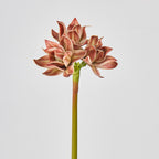 Flor Artificial Clivia, Decoración Elegante para Hogar y Eventos, Altura 56 cm