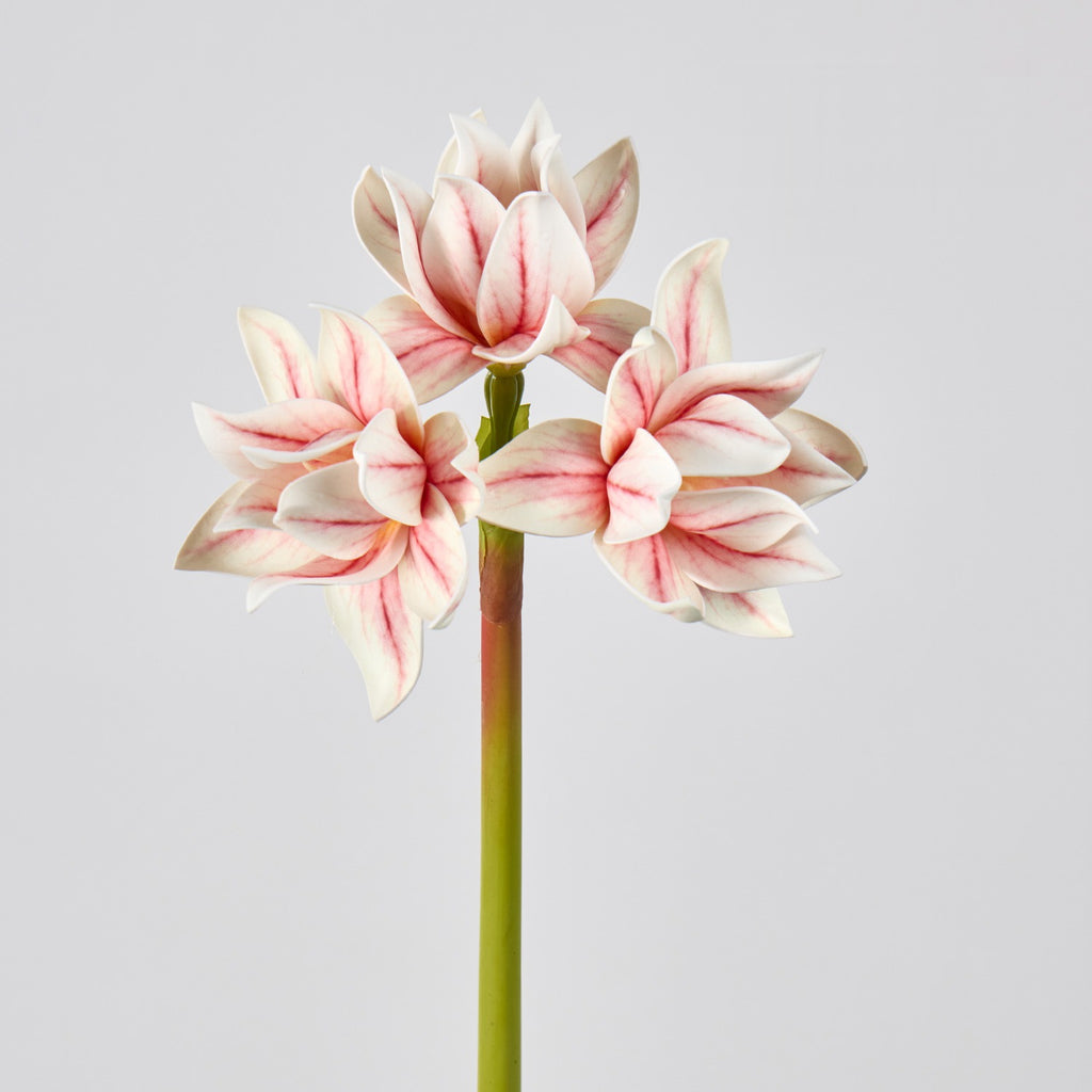 Flor Artificial Clivia, Decoración Elegante para Hogar y Eventos, Altura 56 cm