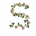Guirnalda de Rosas Artificiales Colgante, Enredadera Estilo Campestre con 10 Cabezas de Flor, para Bodas, Arcos y Decoración del Hogar