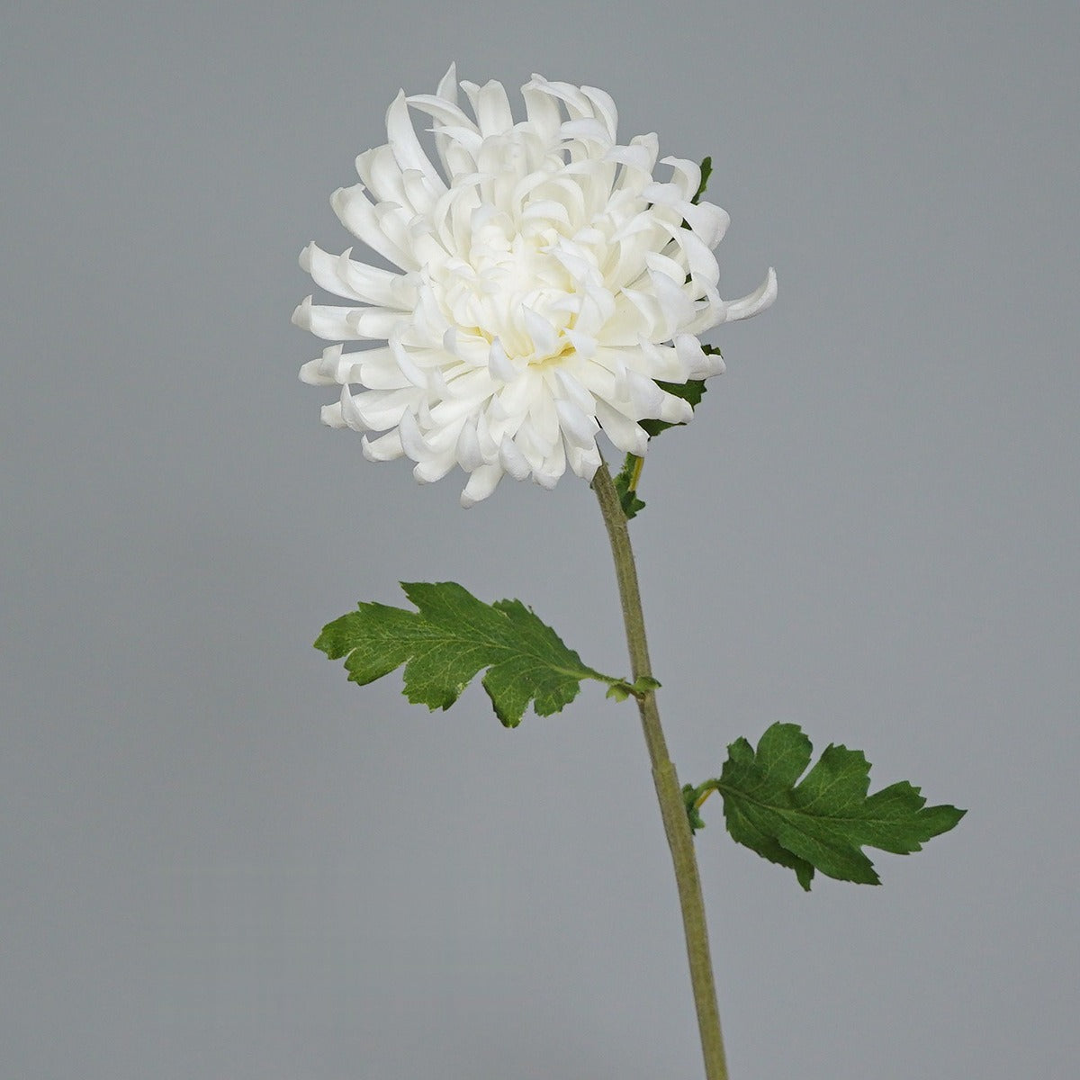 Crisantemo Artificial Vintage de Tallo Único, 1 Flor de PU, Tono Otoñal para Decoración, Bodas y Fotografía