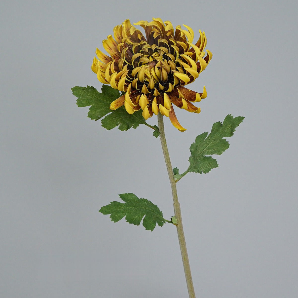 Crisantemo Artificial Vintage de Tallo Único, 1 Flor de PU, Tono Otoñal para Decoración, Bodas y Fotografía
