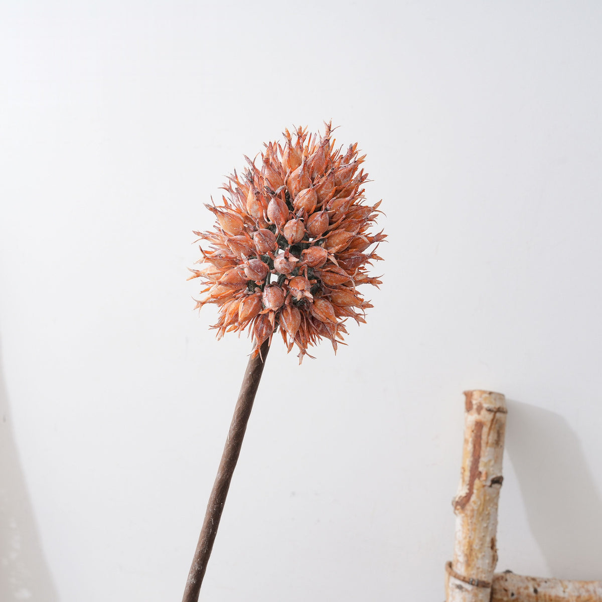 Rama Artificial de Piña Ananas (Cebolla Ornamental), Tallo Único de Plástico PE/PVC, Estilo Ins Moderno para Hogar, Bodas y Eventos