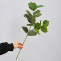 Hoja de Eucalipto Artificial, Rama Única de Plástico, Verde Efecto Natural, para Decoración del Hogar, Oficina y Escaparates