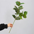 Hoja de Eucalipto Artificial, Rama Única de Plástico, Verde Efecto Natural, para Decoración del Hogar, Oficina y Escaparates