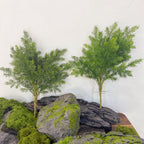 Planta Artificial Asparagus Pino (Espárrago Plumoso), Mata de Follaje Fino, Plástico PE/PVC, Decoración de Interior