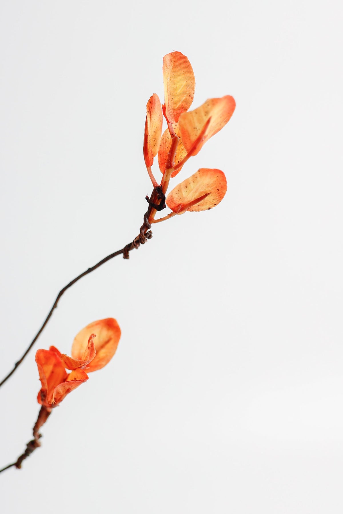 Flores artificiales de 20" para decoración del hogar, eventos y escaparates - Naranja