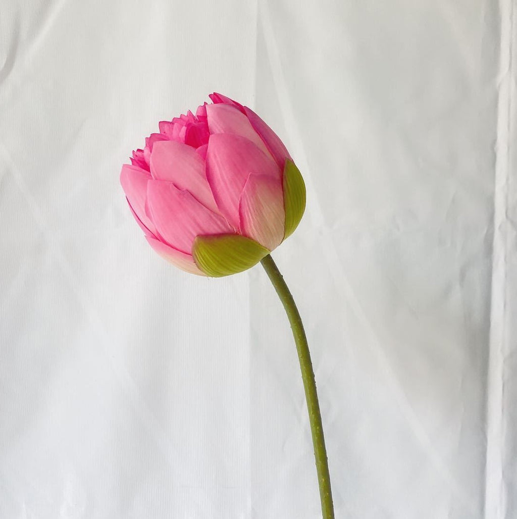 Lotos artificiales de 28" para decoración del hogar, eventos y escaparates