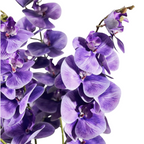 Orquídeas phalaenopsis artificiales con tacto real de 37" para bodas y eventos
