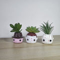 Regalo floral artificial de 3" x 2" 3 piezas para arreglos florales y proyectos DIY - Blanco/verde