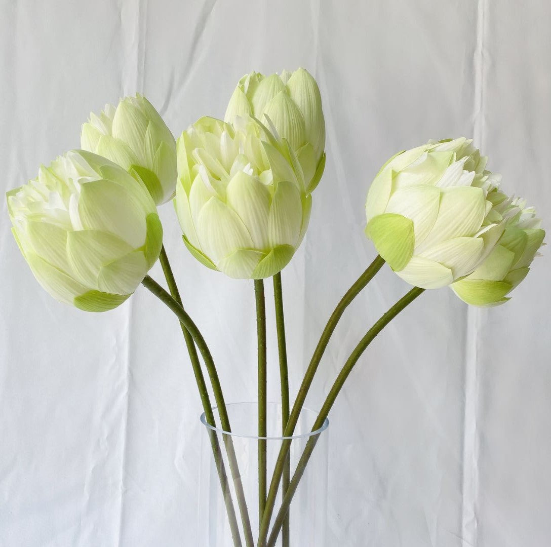 Lotos artificiales de 28" para decoración del hogar, eventos y escaparates - Blanco verde