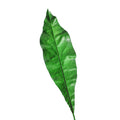 Planta artificial con resistencia a los rayos UV de 25" para jardín, balcón y terraza