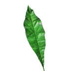 Planta artificial con resistencia a los rayos UV de 25" para jardín, balcón y terraza