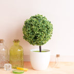 Boj artificial con resistencia a los rayos UV para jardín, balcón y terraza - Blanco&verde