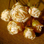 Rosas artificiales de 20" para bodas y eventos