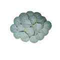 Eucalipto artificial de 3" x 3" 50 piezas para decoración de otoño - Amarillo coffee