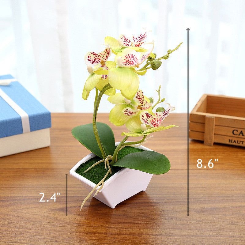 Orquídeas artificiales para jardín, balcón y terraza
