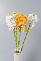 Orquídeas artificiales de 21" para bodas y eventos - Blanco