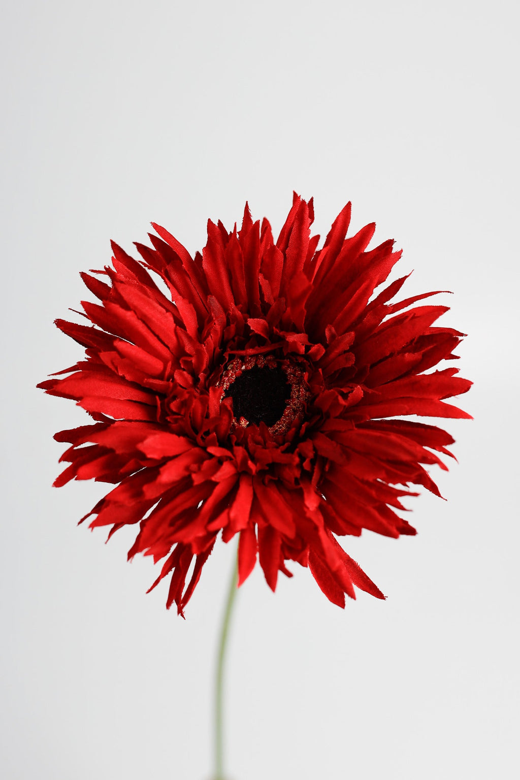 Margaritas artificiales de 17" para decoración de interiores - Rojo
