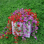 Orquídeas artificiales con resistencia a los rayos UV de 19" x 18" 2 piezas para jardín, balcón y terraza - Fucsia