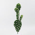Flores artificiales para decoración de interiores - #8