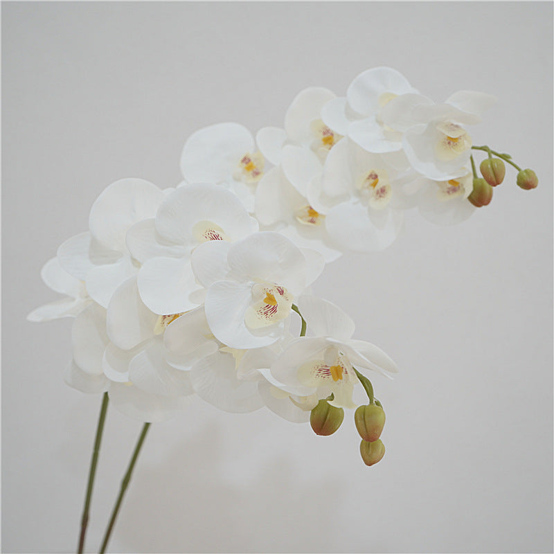 Orquídeas phalaenopsis artificiales con tacto real de 38" para bodas y eventos - Azul