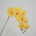 Orquídeas phalaenopsis artificiales con tacto real de 38" para bodas y eventos