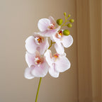 Orquídeas phalaenopsis artificiales con tacto real de 17" para bodas y eventos