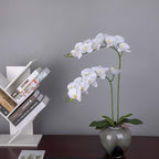 Orquídeas phalaenopsis artificiales con tacto real de 38" para bodas y eventos - Blanco