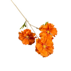Tallos artificiales de 25" 30 piezas para bodas y eventos - Peach