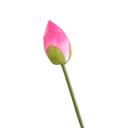 Lotos artificiales con tacto real para decoración del hogar, eventos y escaparates - 28" rojo rosa half open bud