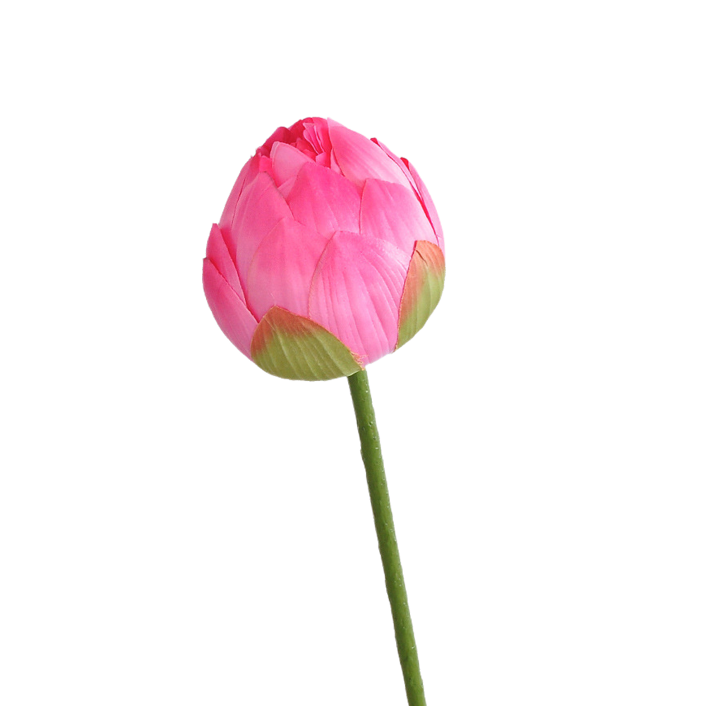 Lotos artificiales con tacto real para decoración del hogar, eventos y escaparates - 27" rojo rosa single petal blooming
