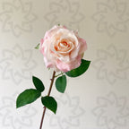 Rosas artificiales con tacto real de 18.8" para bodas y eventos - Rojo rosa