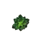 Flores artificiales para bodas y eventos - Verde 4